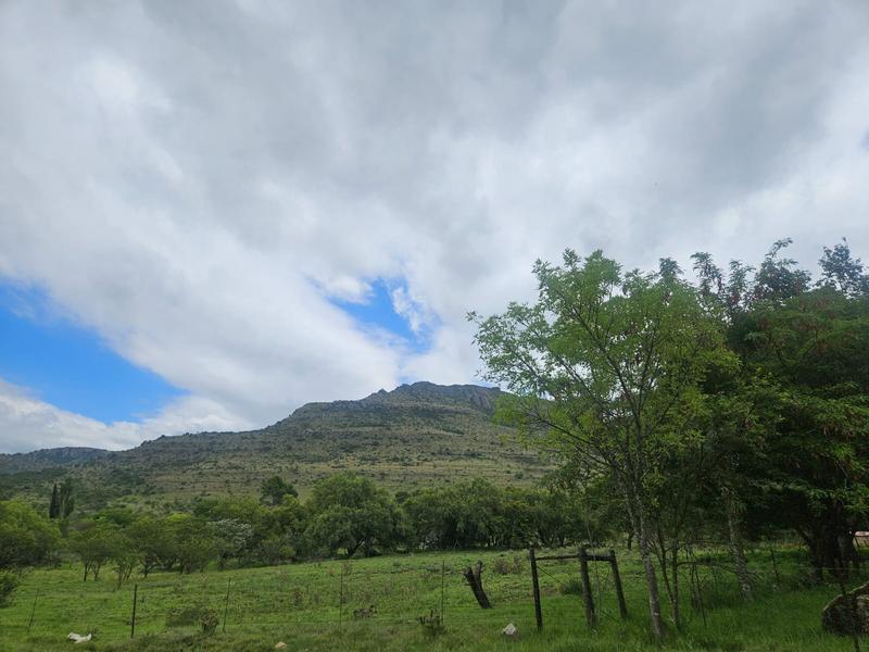 10 Bedroom Property for Sale in Queenstown Rural Eastern Cape